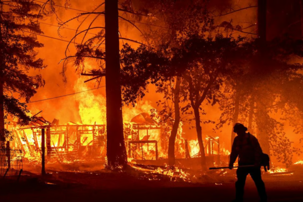 Forest firefighting training resumes in Bandipur after three years.