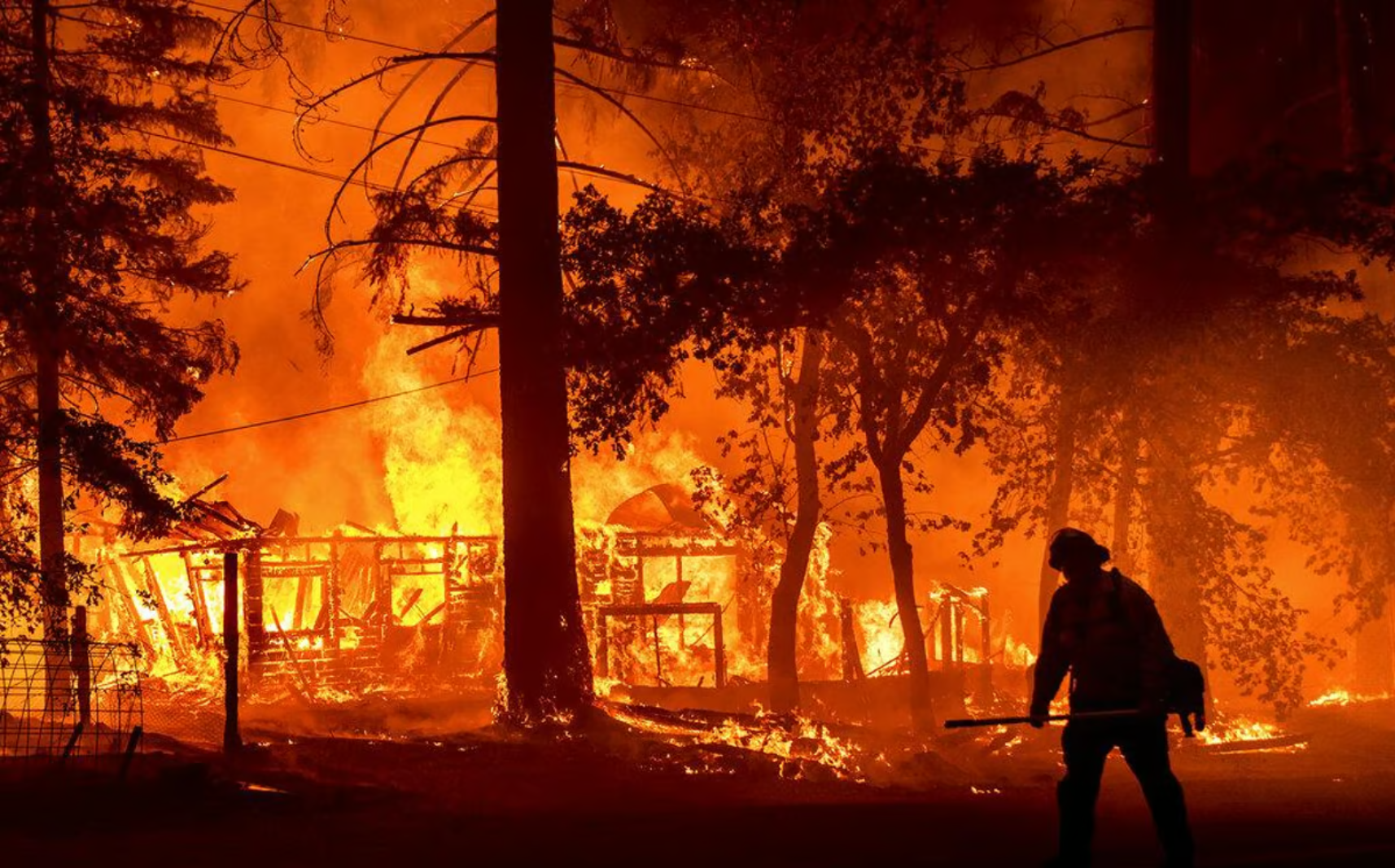 Forest firefighting training resumes in Bandipur after three years.